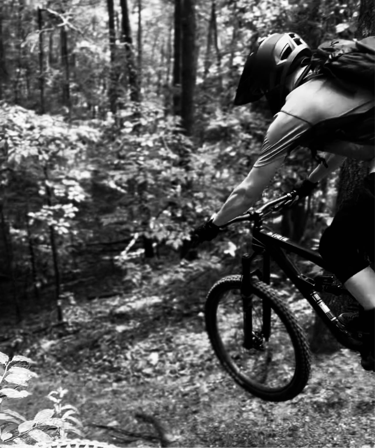 Sktchy Skull Freeride Apparel Tee