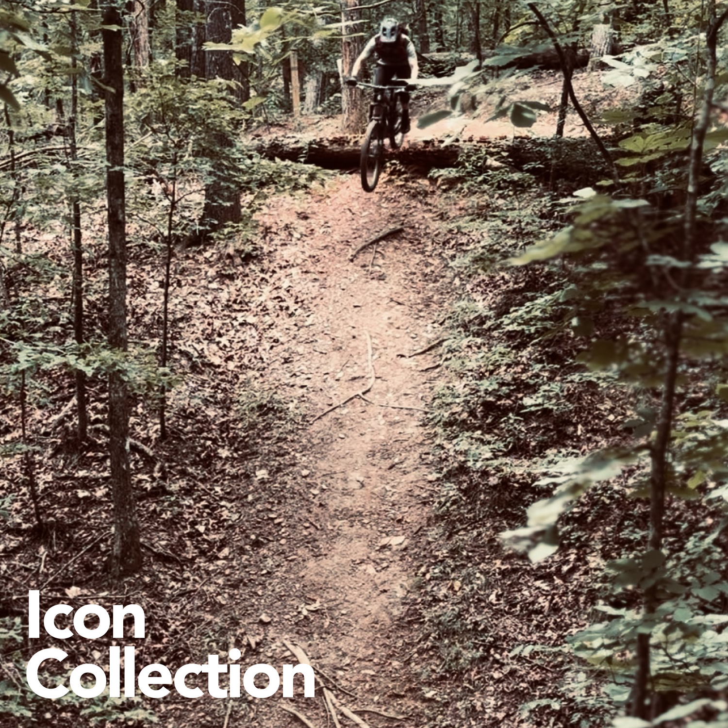 Icon Collection
